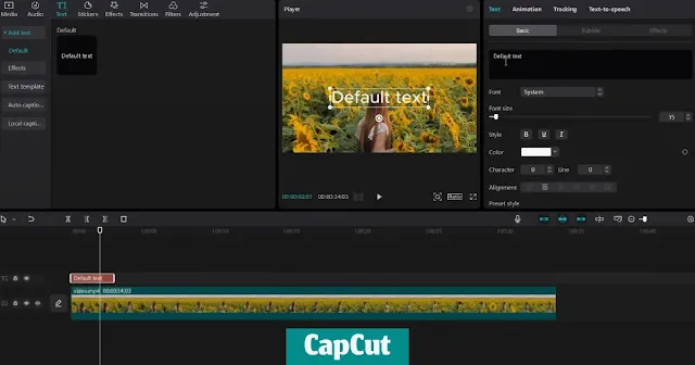 CapCut