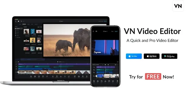 Vn